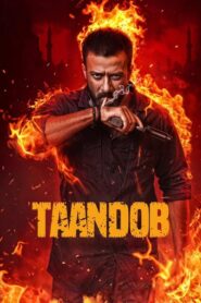 Taandob HD