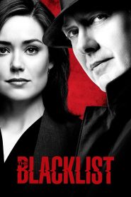 The Blacklist 2013