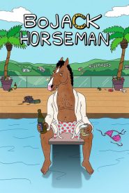 BoJack Horseman 2014
