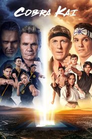 Cobra Kai 2018