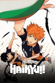 Haikyu!! 2014