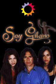 Soy gitano 2003