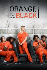 Orange Is the New Black 2013