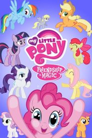 My Little Pony: Friendship Is Magic 2010