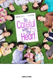Be Careful With My Heart 2012