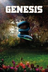Genesis 2021