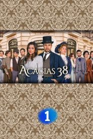 Acacias 38 2015