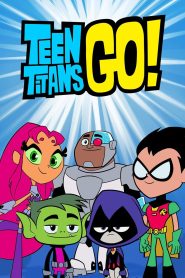 Teen Titans Go! 2013