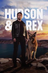 Hudson & Rex 2019