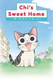 Chi’s Sweet Home 2008