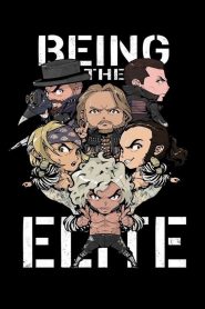 Being The Elite 2016