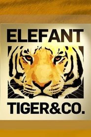 Elefant, Tiger & Co. 2003