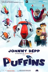 Puffins 2020